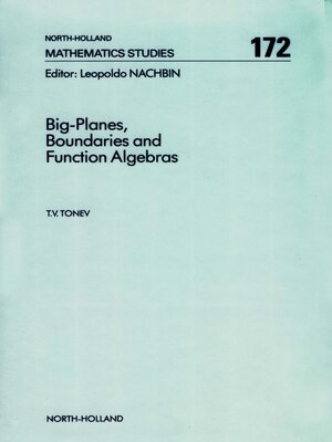 cover image of Big-Planes, Boundaries and Function Algebras
